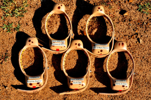 Kenya Wildlife Trust: Mara Cheetah Project - Initiatives - Wildlife Art of John Banovich