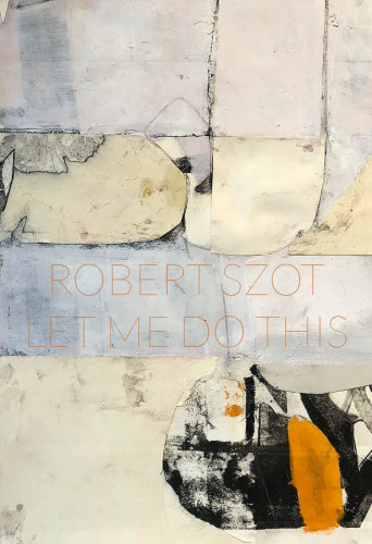 Robert Szot: Let Me Do This - Publications - Anita Rogers Gallery