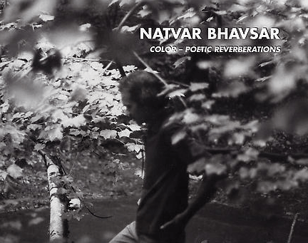 Natvar Bhavsar - Color - Poetic Reverberations - Publications - Sundaram Tagore Gallery