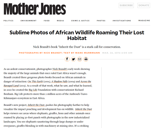 Nick Brandt: Sublime Photos of African Wildlife Roaming Their Lost Habitat - Mother jones