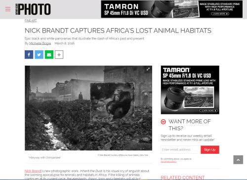 NICK BRANDT CAPTURES AFRICA'S LOST ANIMAL HABITATS - Photomag.com