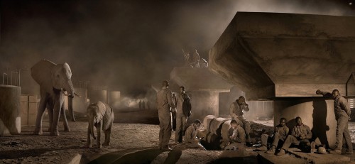 Nick Brandt's best photograph: elephants and building workers share a crowded Africa by Dale Berning Sawa (The Guardian)