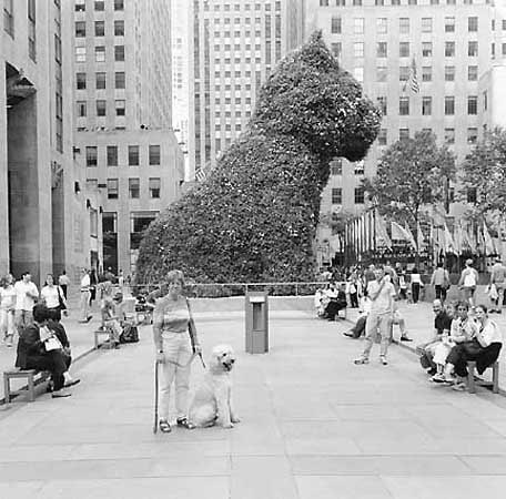 Rockefeller Center, New York City, 2000