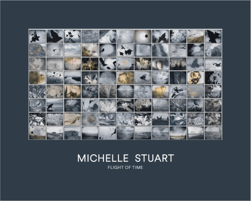 Michelle Stuart: Flight of Time - Text by Barry Schwabsky - Publications - Galerie Lelong & Co.