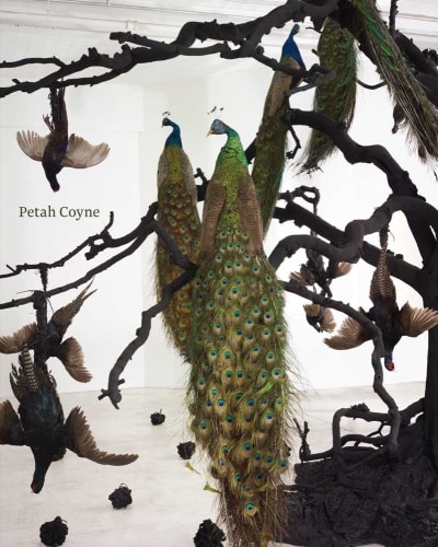 Petah Coyne: Everything That Rises Must Converge - Text by Joseph C. Thompson, Denise Markonish, A.M. Homes, et al. - Publications - Galerie Lelong & Co.