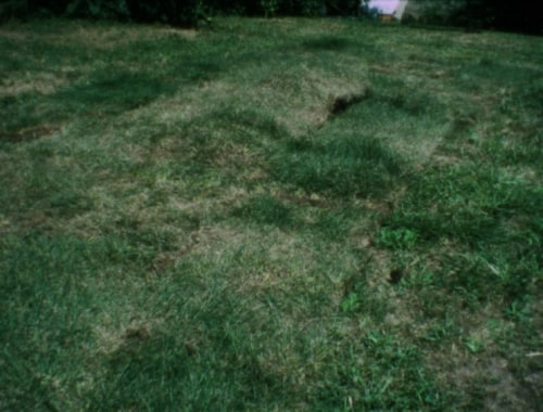 Ana Mendieta  Grass Breathing, c. 1974  Super-8mm film transferred to high-definition digital media, color, silent  Running time: 3:08 minutes  © The Estate of Ana Mendieta Collection, LLC  Courtesy Galerie Lelong & Co.
