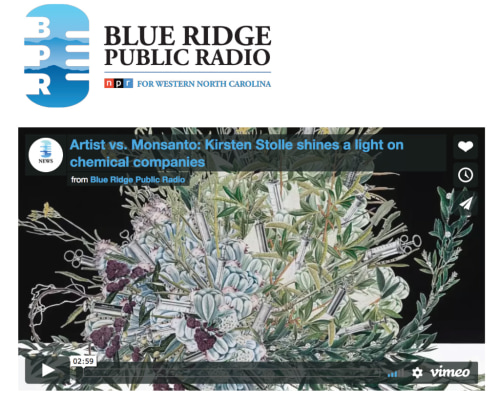 Kirsten Stolle on Blue Ridge Public Radio