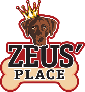 Zeus' Place