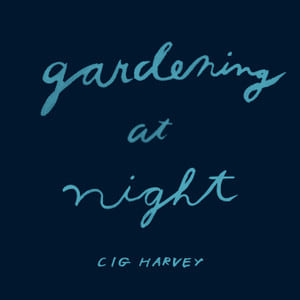 Gardening at Night - Publications - Dowling Walsh