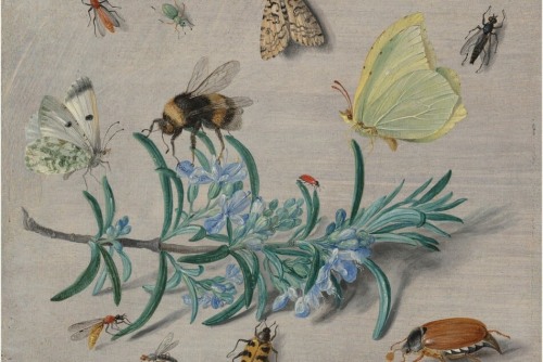 With Passion and Purpose: Gifts from the Collection of Larry D. and Brenda A. Thompson