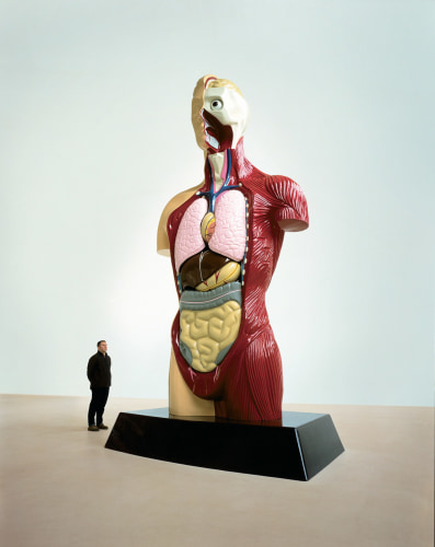Damien Hirst, Hymn, 1999-2005

painted bronze, 234.4 by 131.5 by 81 inches