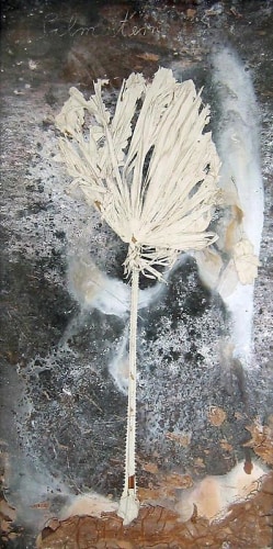 Image of ANSELM KIEFER's Palmstern, 2008