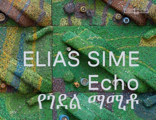 Elias Sime: Echo የገደል ማሚቶ