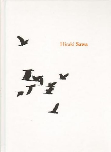 Hiraki Sawa Monography by Le Consortium