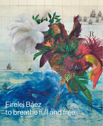 cover of Firelei Baez book