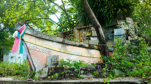 boat-like structure abandoned with overgrown plants 