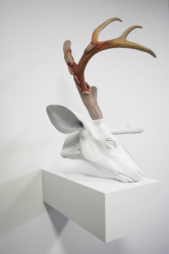 Image of ERICK SWENSON's Untitled (Velvet Horn) 无题 (丝绒鹿角), 2009