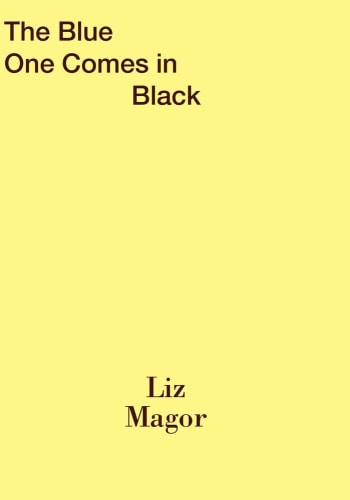 Liz Magor: The Blue One Comes in Black - Mousse - Publications - Andrew Kreps Gallery
