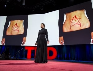 Cynicism takes a break at TED, thanks to three artists