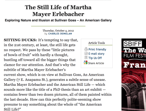 The Still Life of Martha Mayer Erlebacher