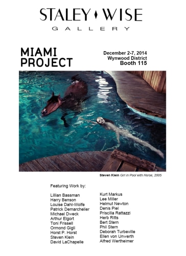 STALEY-WISE GALLERY AT MIAMI PROJECT 2014