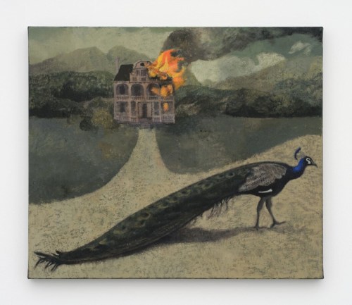 Lenz Geerk by Will Fenstermaker