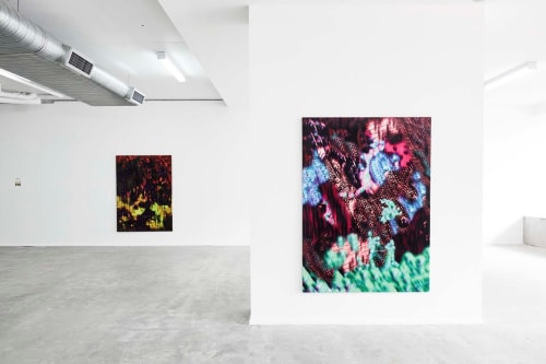 Mousse Magazine: Ry David Bradley “Overworld” at COMA Gallery, Rushcutters Bay