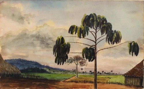 Charles DeWolf Brownell, Yugo, San Ricardo, Cuba, 1857, Watercolor on Paper H 5.25” x W 8.375”, Titled Verso on Vintage Label – “Yugo, San Ricardo, Mar. 30th 1857”