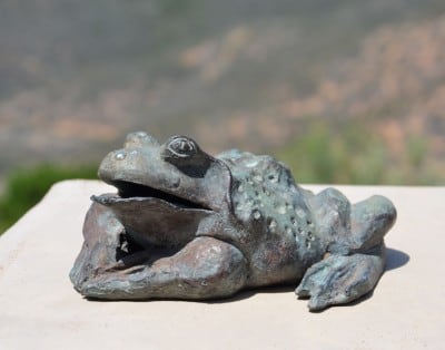 Frog from Ghirardelli Square, 1968