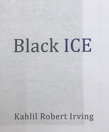 Kahlil Robert Irving: Black ICE - Publications - Callicoon Fine Arts