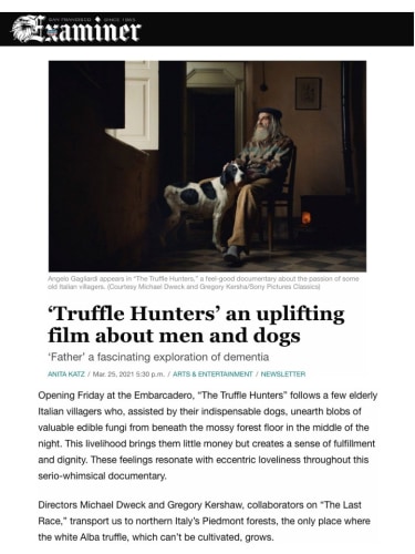 ‘Truffle Hunters’ an uplifting film about men and dogs