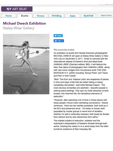 Michael Dweck Exhibition