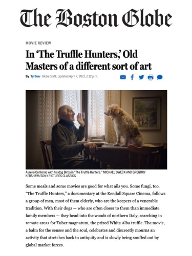 In ‘The Truffle Hunters,’ Old Masters of a different sort of art