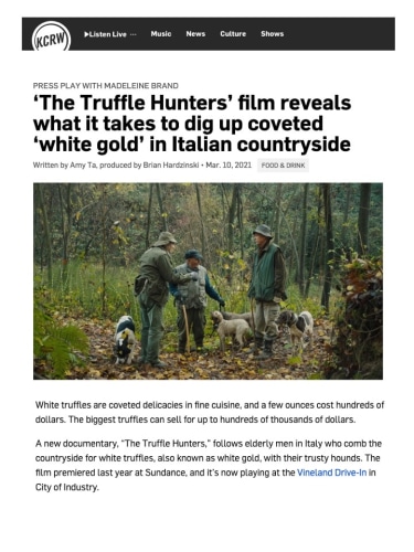 ‘The Truffle Hunters’ film reveals what it takes to dig up coveted ‘white gold’ in Italian countryside