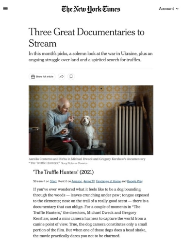 Three Great Documentaries to Stream