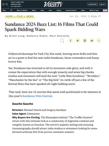 Sundance 2024 Buzz List: 16 Films That Could Spark Bidding Wars