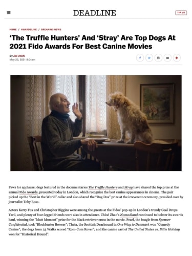 ‘The Truffle Hunters’ And ‘Stray’ Are Top Dogs At 2021 Fido Awards For Best Canine Movies