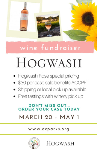 HOGWASH & ACCPF - Gear-Items - Hogwash Rose