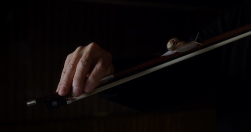 exhibition | anri sala: if and only if