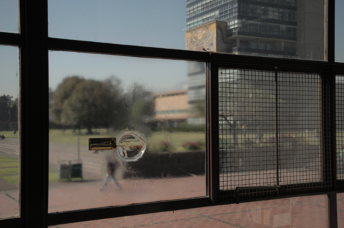 Installation view of No Window No Cry&amp;nbsp;(Juan O&amp;#39;Gorman, Biblioteca Central de la UNAM), Mexico City, 2011&amp;nbsp;