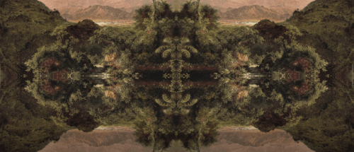 Walid Raad, &quot;Cotton Under My Feet&quot;