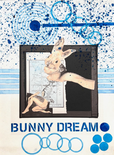 Bunny Dream, 2024