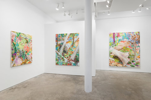 Kurt Lightner: Spark (installation view)