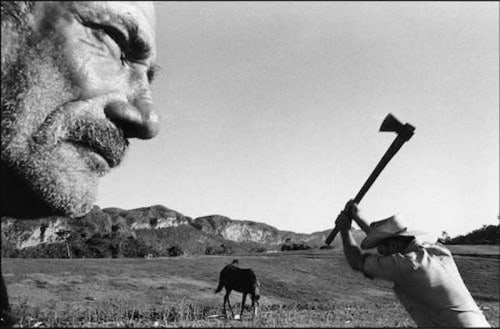 A field with hills on the horizon is shown here in black and white, with a horse grazing, a man raising an ax, and an elderly man's face all shown at varying distances from the lens.