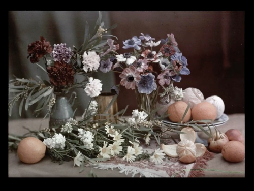 A slide from the 19th Century presentation showing a hand-colored floral still life.