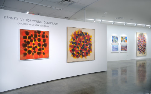 Participation in "Kenneth Victor Young: Continuum" - American University Museum - Exhibitions - About Bethesda Fine Art