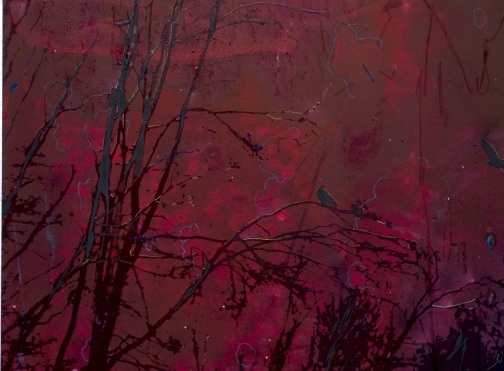 Elizabeth Magill