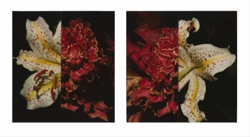 © Nobuyoshi Araki © Musée Guimet, Paris / Nicolas Fussler, photographe