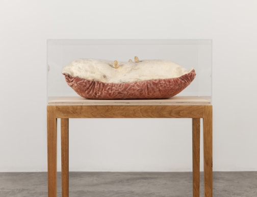 Dorothy Cross, Acts of Creation: On Art and Motherhood