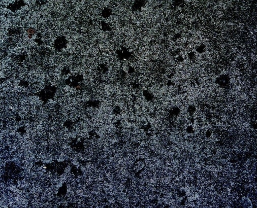 Alt="Zoe Leonard, April 5, frame 10, 2011, Gelatin silver print"